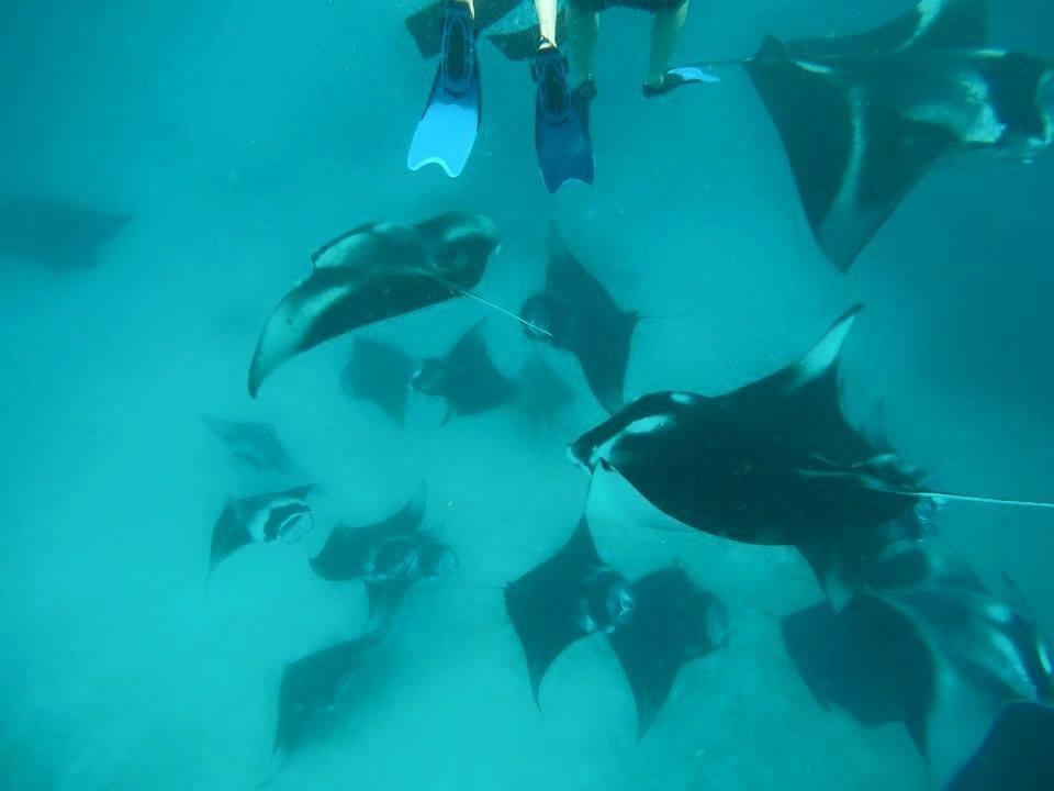 Summer Shade Maldives Дхаравандху Екстериор снимка